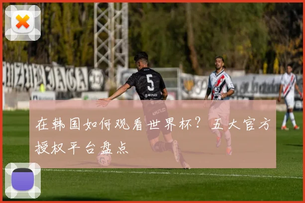 在韩国如何观看世界杯?五大官方授权平台盘点