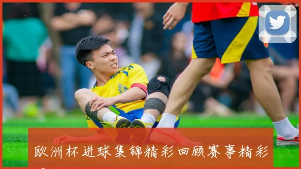 欧洲杯进球集锦精彩回顾赛事精彩瞬间