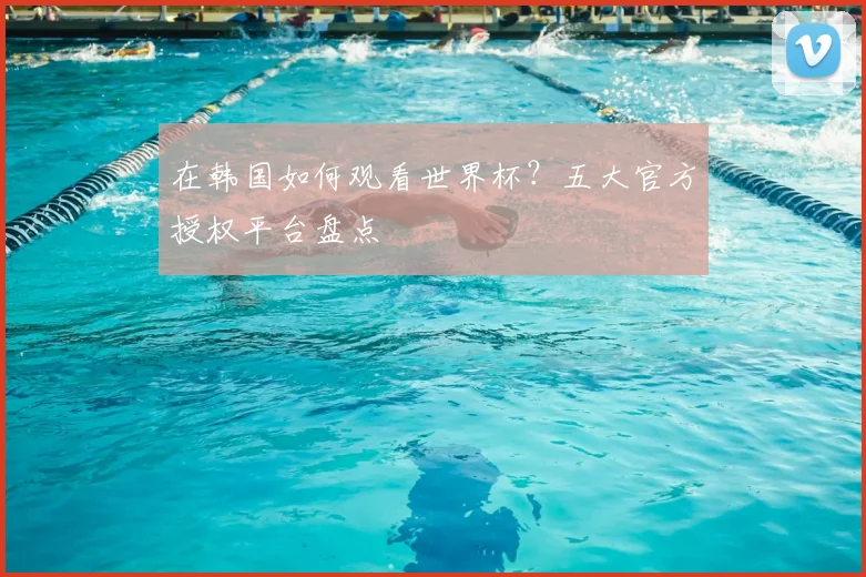 在韩国如何观看世界杯?五大官方授权平台盘点