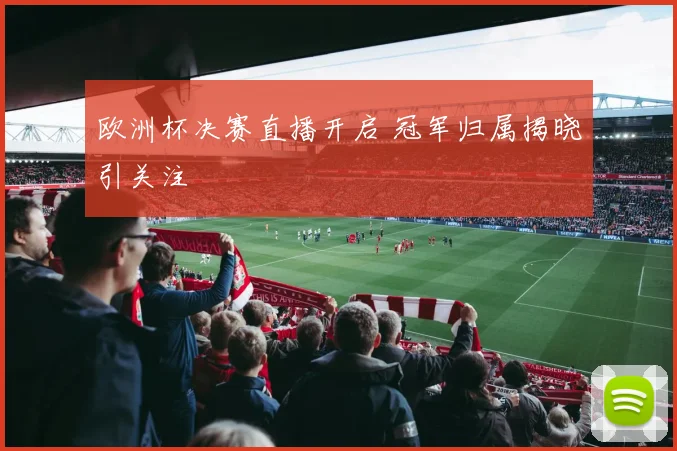 欧洲杯决赛直播开启 冠军归属揭晓引关注