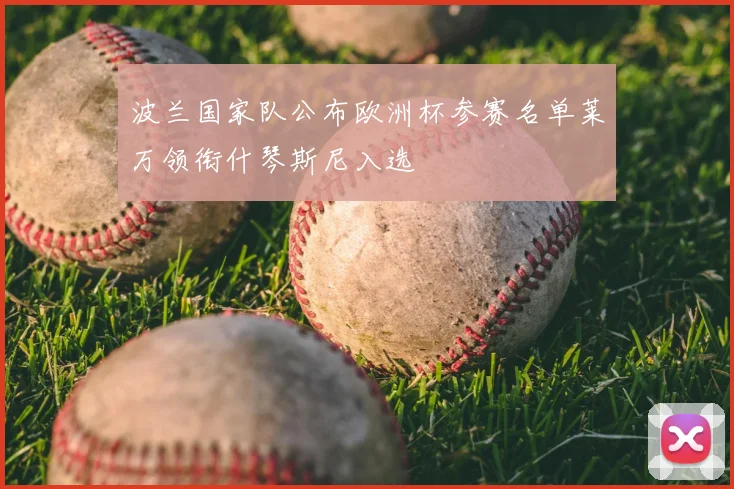 波兰国家队公布欧洲杯参赛名单莱万领衔什琴斯尼入选